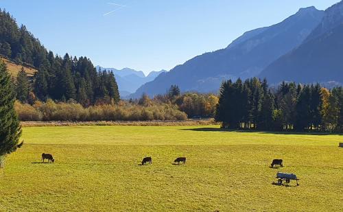 Alpenlandhaus - image 2