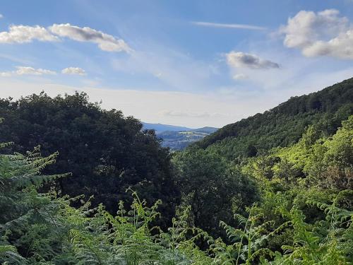 Ty Carreg Bach in Capel Garmon