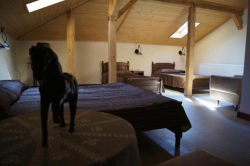Milkana Hotel - main image