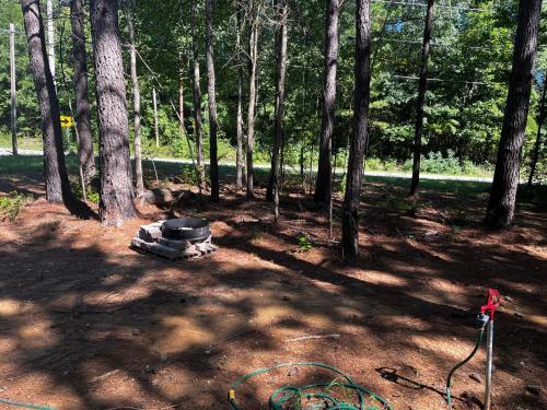 Knotty Pines Cabin near Kentucky Lake, TN in Springville, USA
