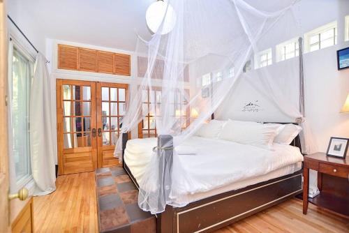Avontuur: 3-bedroom oasis steps away from downtown