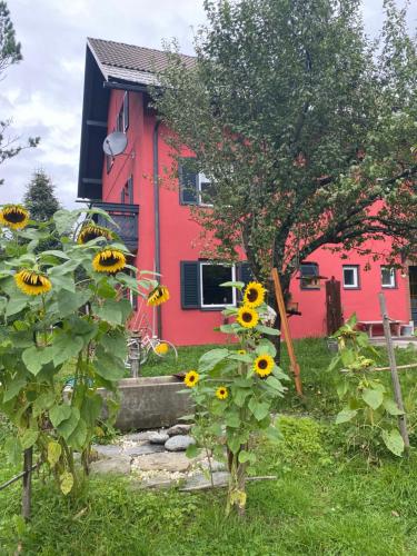 Gartenappartement Schaffler