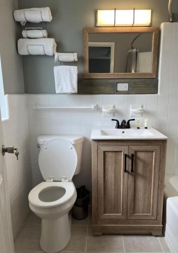 Bathroom, BlueGem Motel in High Springs (FL)