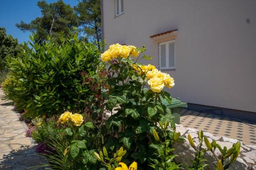 Apartments Pavić - Sapavac