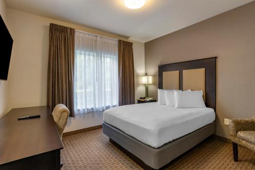 Stay-Over Suites - image 13
