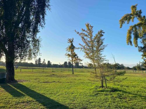 Hidden Gem LA: 2bd guesthouse w/ dreamy backyard