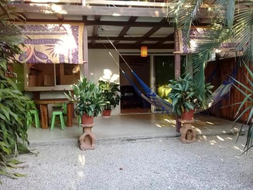 Jungle Green Studio