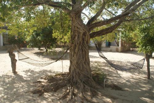 Bazouk Du Saloum Ecolodge