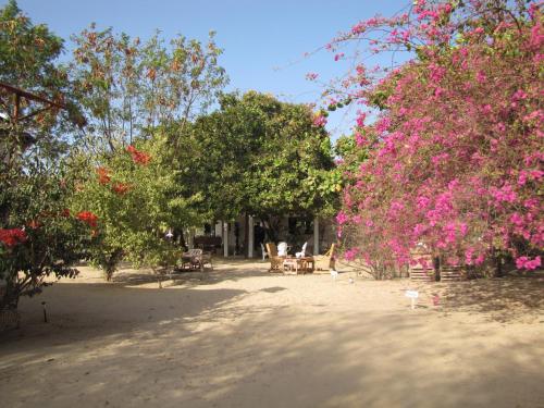 花園, Bazouk Du Saloum Ecolodge in 恩丹加尼