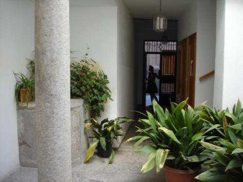 La Alcandora, Granada (Foto 2)