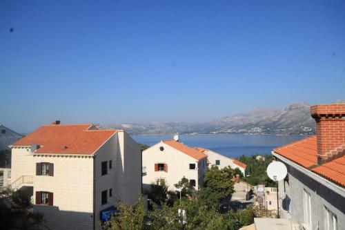 Apartments with a parking space Cavtat Dubrovnik - 8576 - image 7