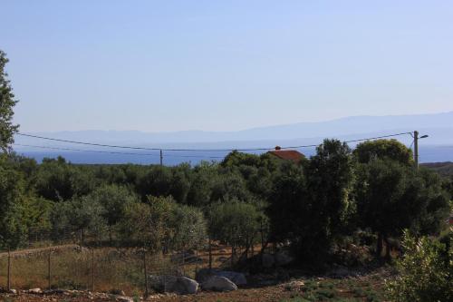 Studio Punta kriza 383b - image 5