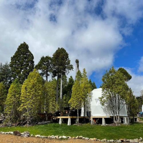 Lodge Los Alerces in Caulin