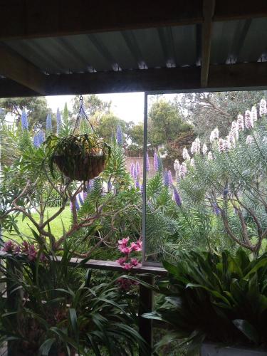 Lakes Entrance Waterfront Cottages with King Beds – Lake Entrance, MS