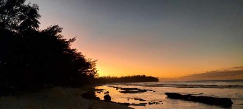 moorea temae bungalow lory bord de mer