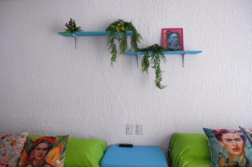 Beach, fun & relax at the Hotel Zone in Cancun, Cancún (foto 9)