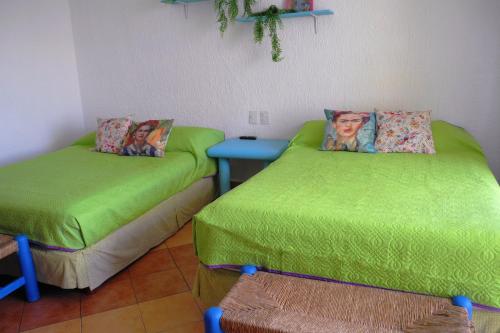 Beach, fun & relax at the Hotel Zone in Cancun, Cancún (foto 7)