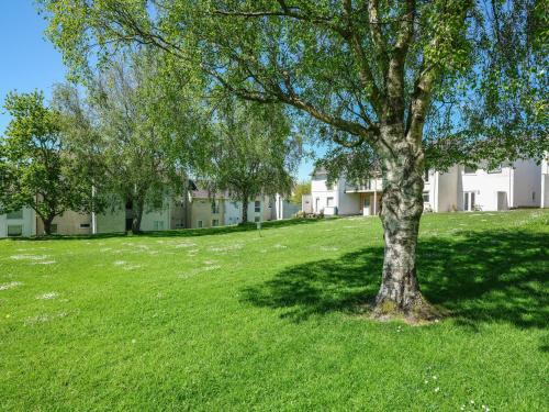 Machlud Ynys - image 5