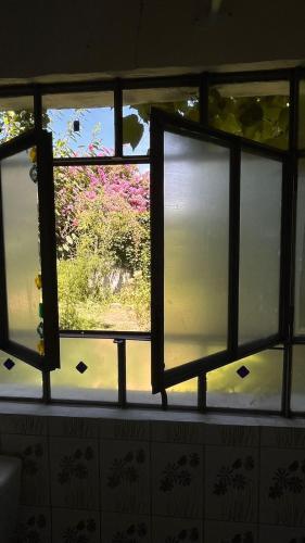 Casa del arbol hostel