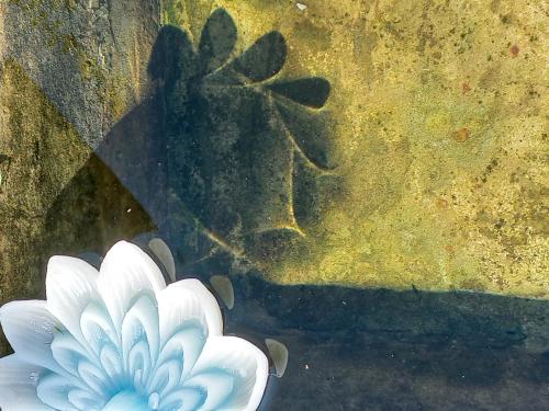 Casa del arbol hostel