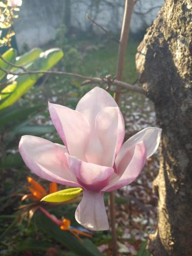 Casa del arbol hostel