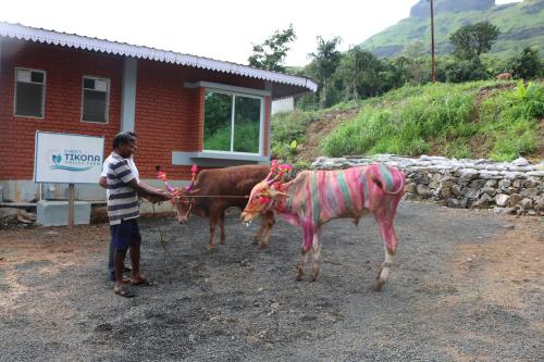 Shinde's Tikona Valley Farm