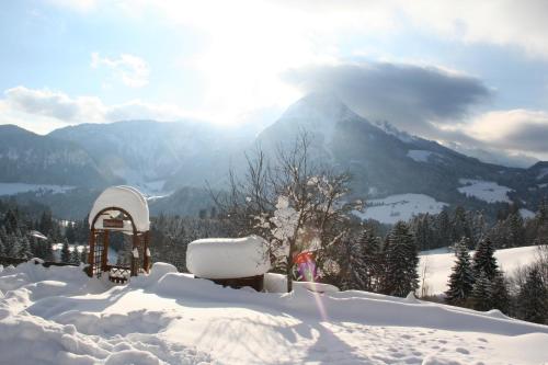 Alpenapartments Unterschlag - image 14