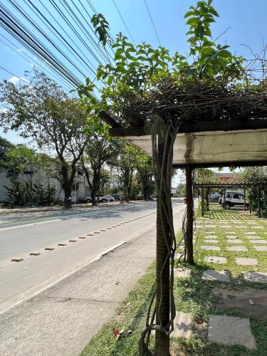 Casa verde no centro de Paraty