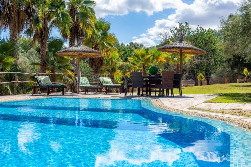  Isla Tortuga in Petra