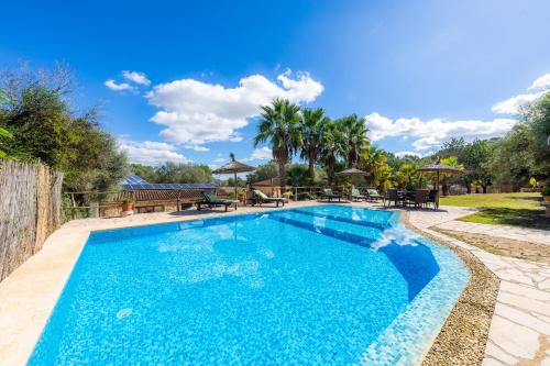  Isla Tortuga in Petra