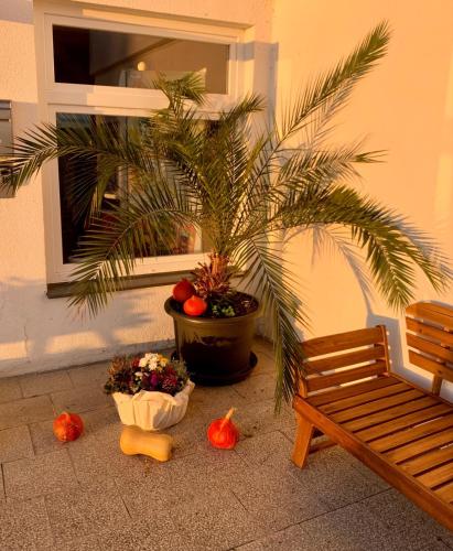 Penzion Kozí Horka u Brněnské přehrady - image 11