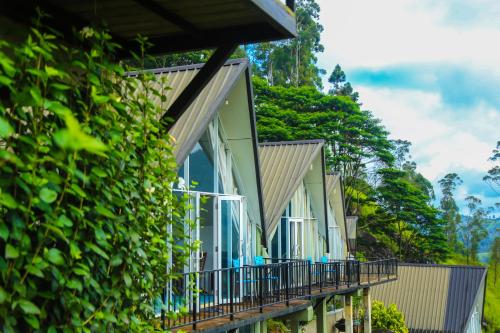 Balcony/terrace, Hummingbird St.Clare Villas in Nuwara Eliya
