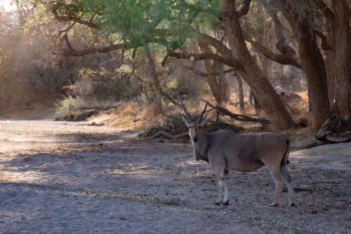 Ugab Game Farm & Lodge Ugab Game Farm & Lodge