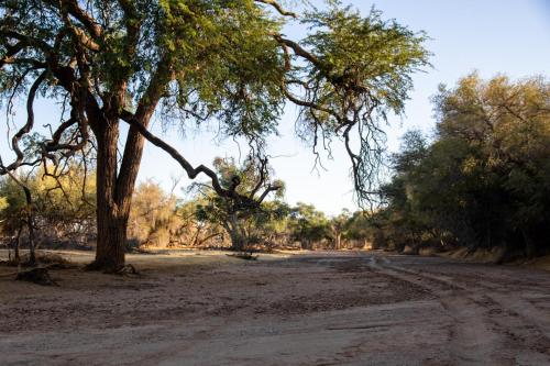 Ugab Game Farm & Lodge Ugab Game Farm & Lodge