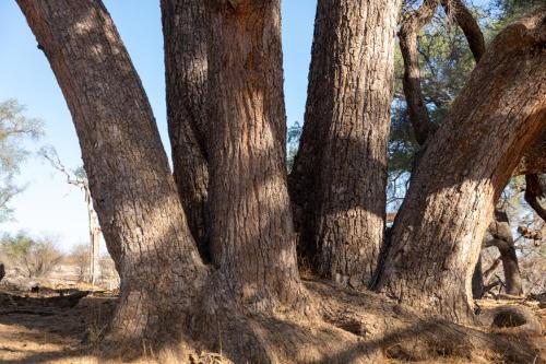 Ugab Game Farm & Lodge Ugab Game Farm & Lodge