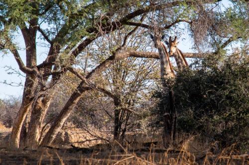 Ugab Game Farm & Lodge Ugab Game Farm & Lodge