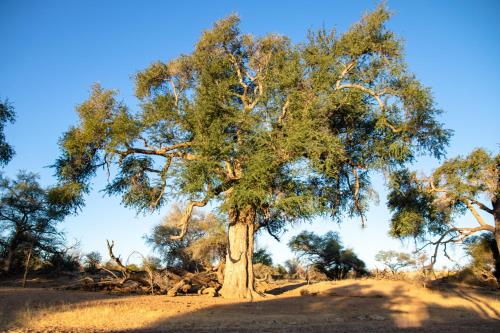 Ugab Game Farm & Lodge Ugab Game Farm & Lodge