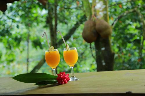 Exterior view of Rainforest Edge