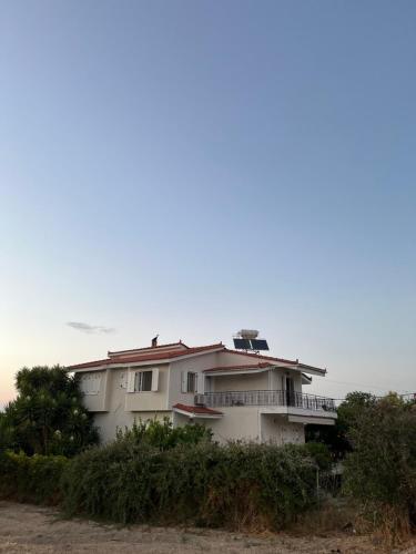 A cottage with lemon&orange trees!