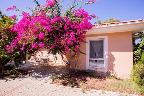 Peaceful Home Surrounded by Nature in Kas