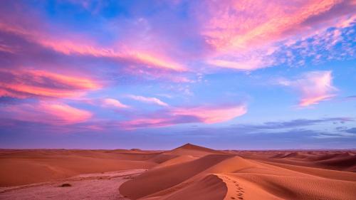 Bivouac Dune Iriki in Foum Zguid