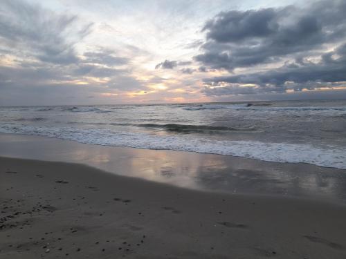 Instalaciones, 22up Bed & Koffie in Texel