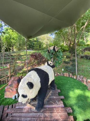 TC Maya Abaya Hotel TC Maya Abaya Hotel