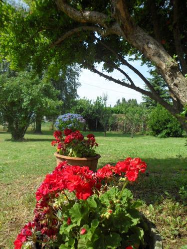 B&B Cuei di Baret - image 11