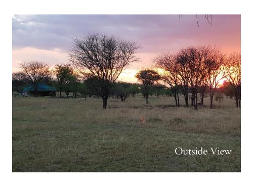 OLE SERAI LUXURY CAMP - KOGATENDE photo 2