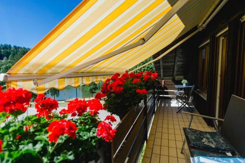 balkon/terasa, Ferienwohnungen Am Skilift in Herrischried