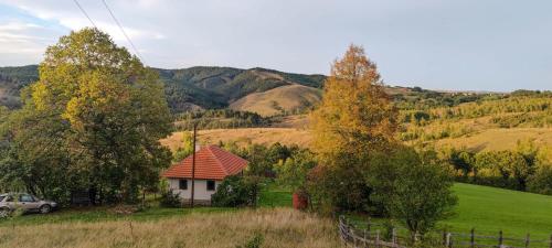 . Studenac Mionica