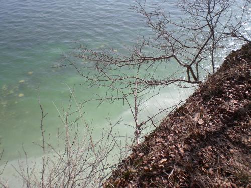 Ferienwohnung in Sassnitz Nähe Weltnaturerbe - image 12