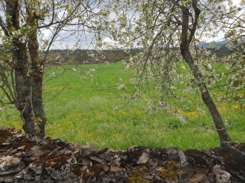 Logis Hotel Des Rochers - image 3