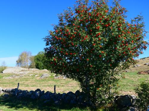 Logis Hotel Des Rochers - image 2